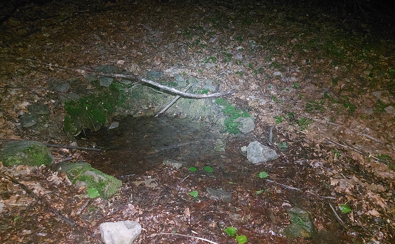 Pramienok_pod_Stávkom_už_nepotrebujem,_ale_voda_je_v_ňom_asi_furt.