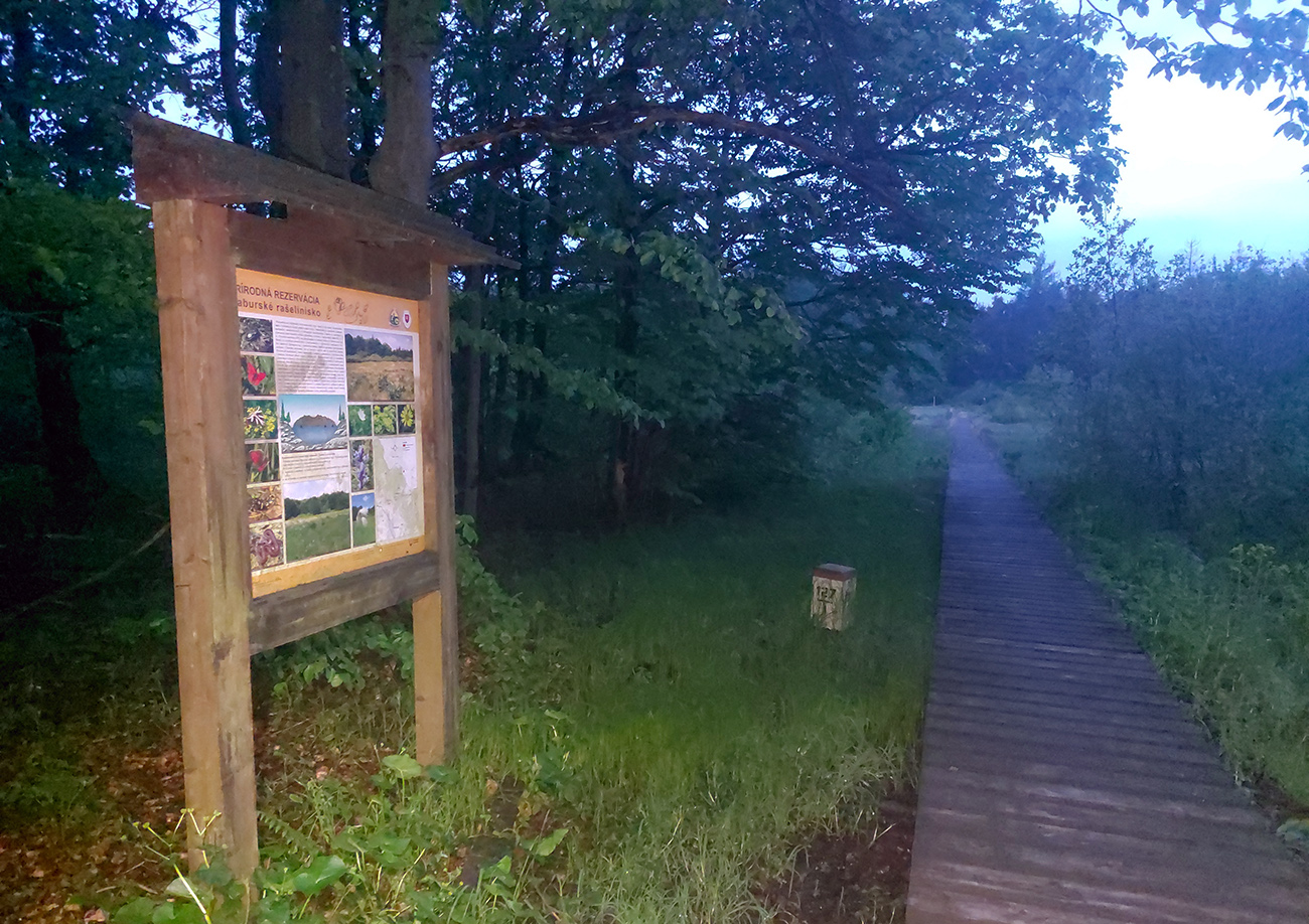 Haburské_rašelinisko_a_druhý_koniec_dreveného_chodníka.