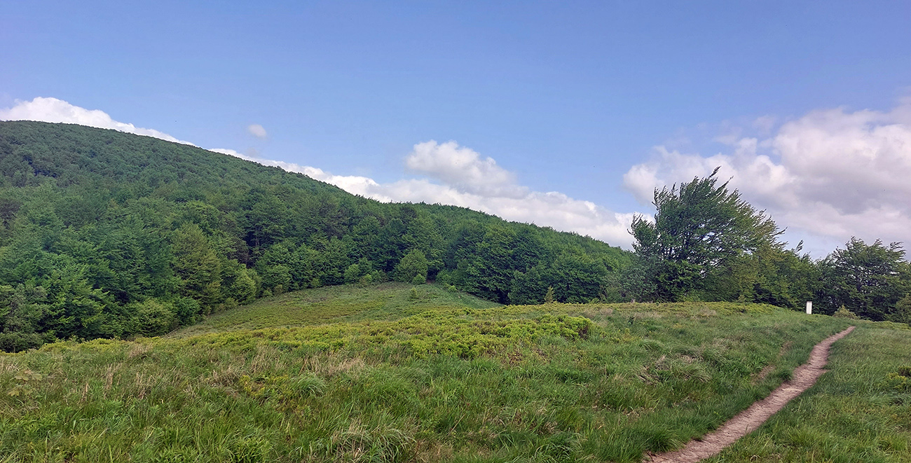 Niekde_v_polovici_zmiernenie_sklonu_a_výhľady_na_juh.